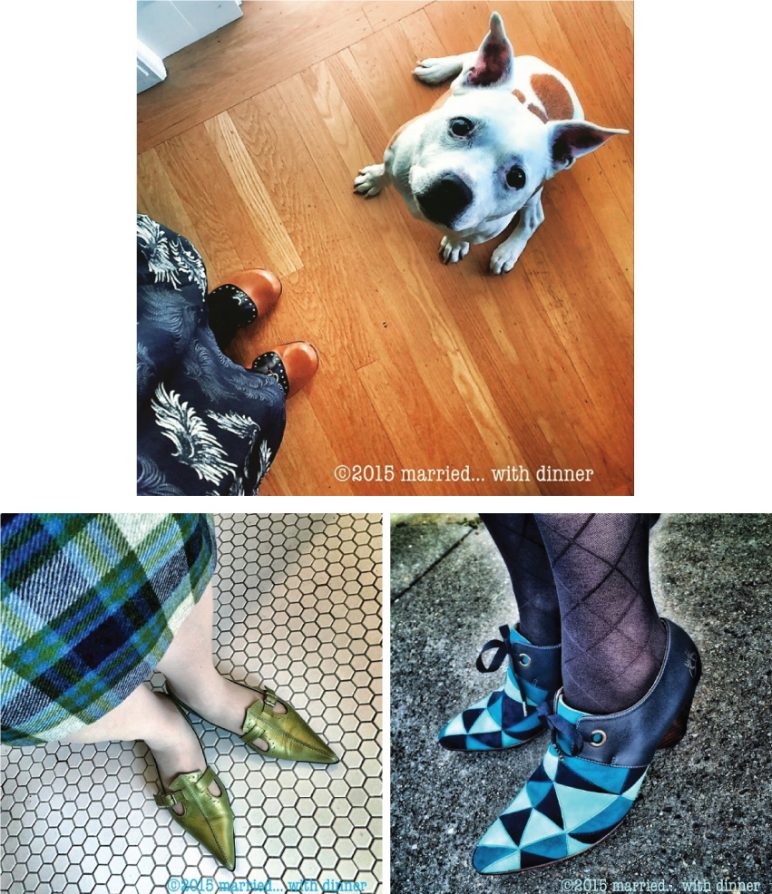 Do you like dogs!? And ‘Vogs?!