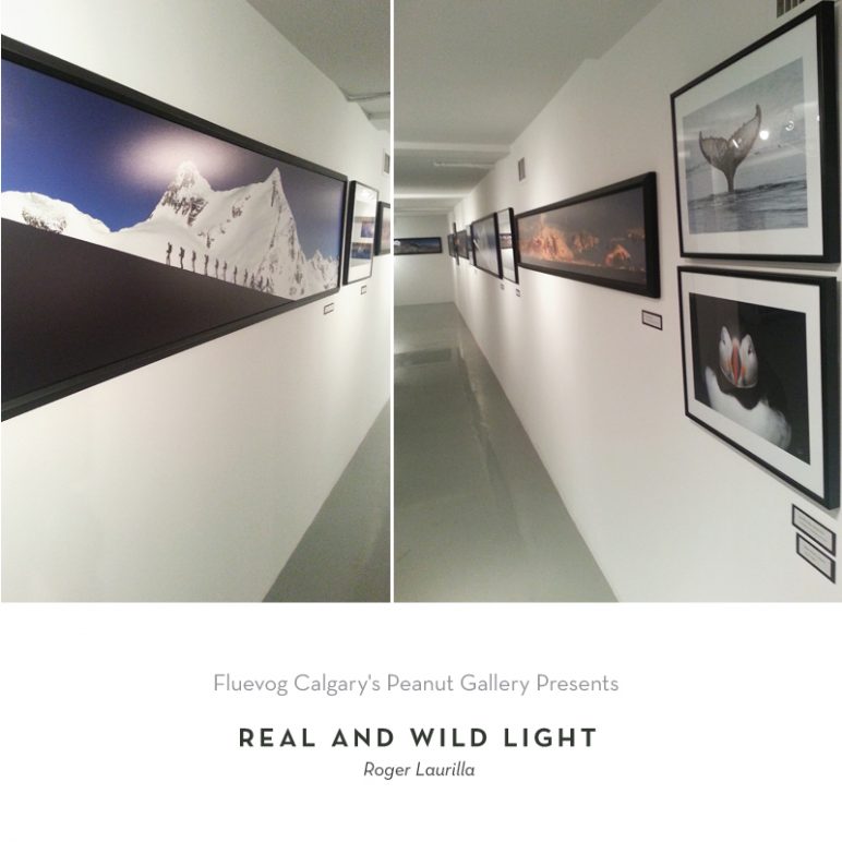 Real and Wild Light at the Peanut Gallery