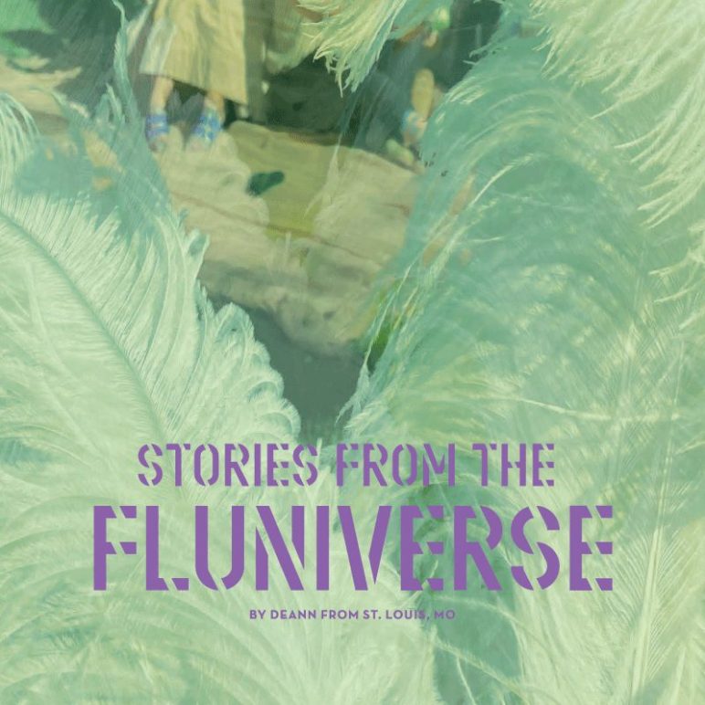 Histoirs du Flunivers : par Deann de St. Louis, MO