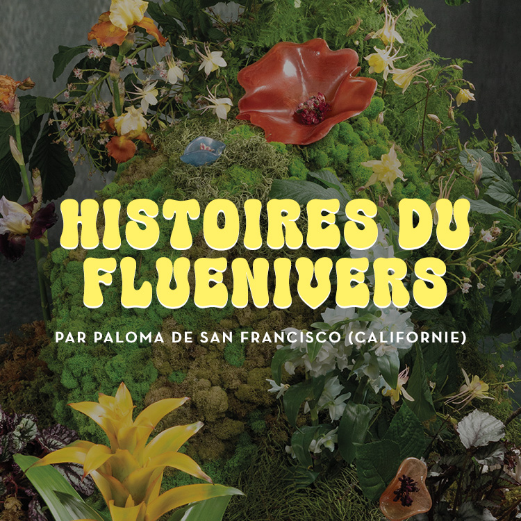 Histoires du Fluenivers par Paloma de San Francisco (Californie)
